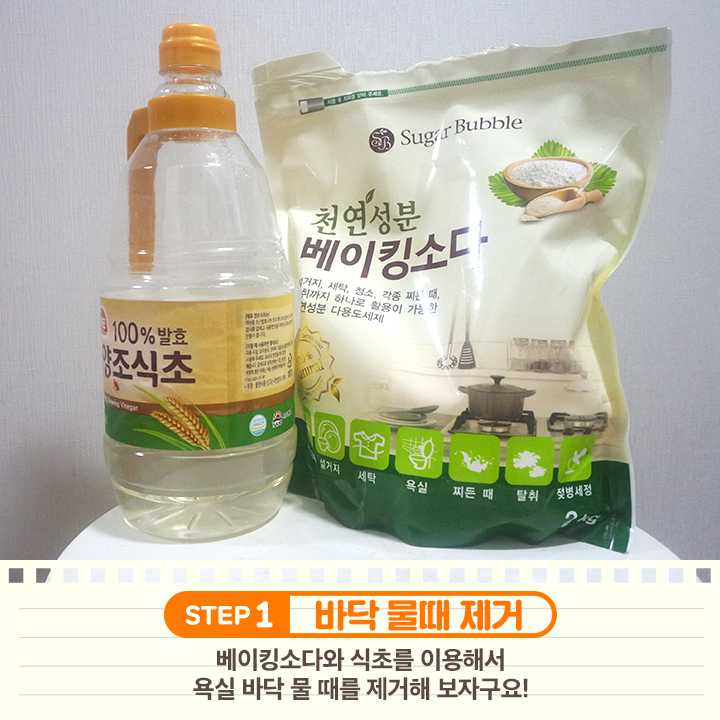 물때따라 이미지