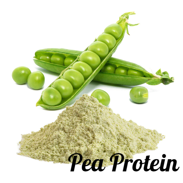 프로틴 보충 식물성단백질 미국건강식품소개