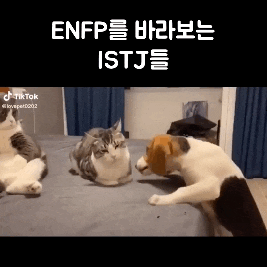 [MBTI] ENFP 공감 짤 모음 (feat. INTJ, ISTJ,ISTP)