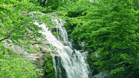 [하나님 말씀]정상적인 영 생활에 관하여