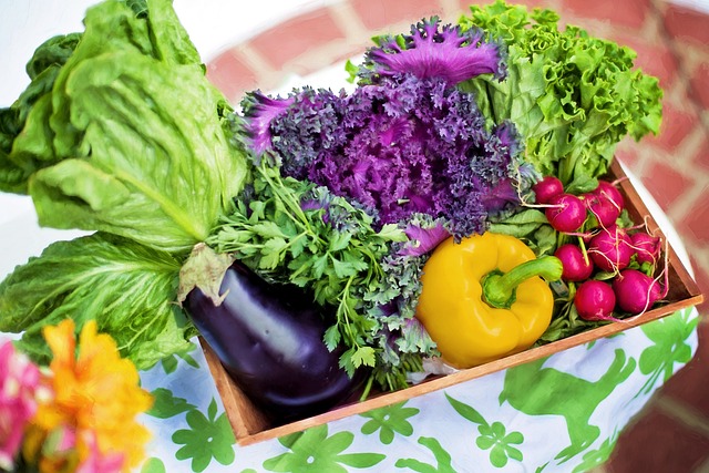 자연식물식 : 자연식물식(Whole Foods Plant Based Diet)이란?, 자연식물식 좋은 점