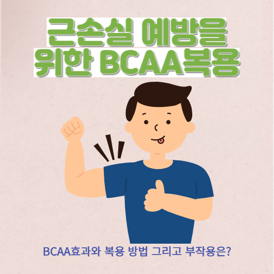 근손실 최소화를 위한 BCAA효과와 섭취 방법 그리고 부작용은?