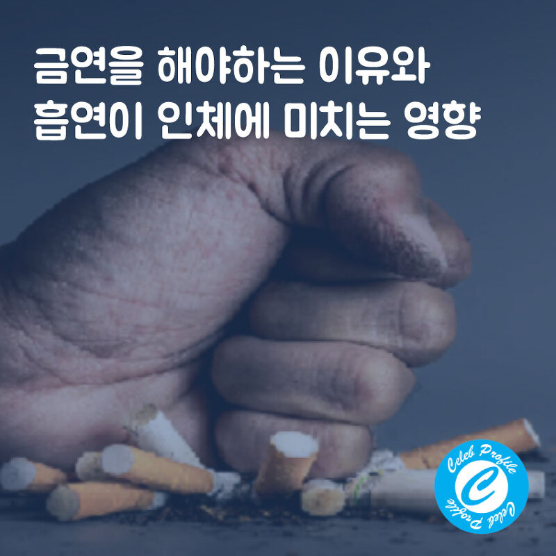 금연을 해야하는 이유와 흡연이 인체에 미치는 영향