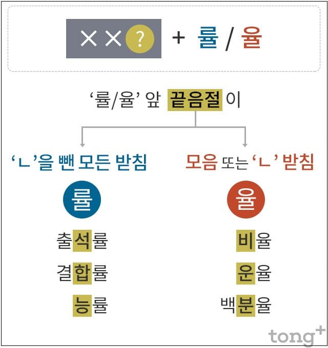 늘 혼동스런 ‘률’, ‘율’의 사용 구분법