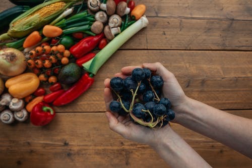 식품의 마법, 건강의 신: 영양 가득한 음식의 세계
