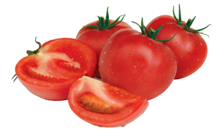 토마토 심는시기 재배방법