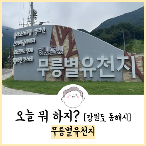 동해 가볼만한곳 무릉별유천지 후기! 23.08.13 방문