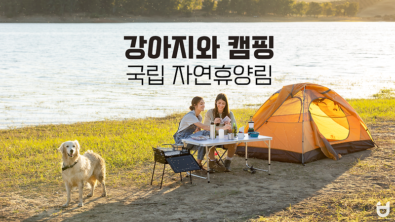 강아지와 함께 갈 수 있는 국립 캠핑장, 국립자연휴양림