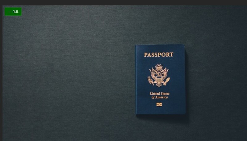온라인 여권 재발급 신청