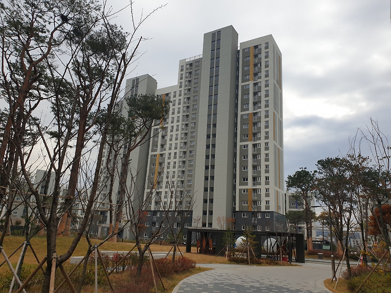 아파트 분양 계약 무상,유상옵션 가격 종류 정리!!