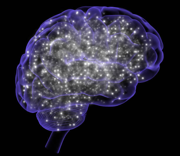 뇌전증이란 무엇이며, 원인 증상 및 응급처치 치료방법