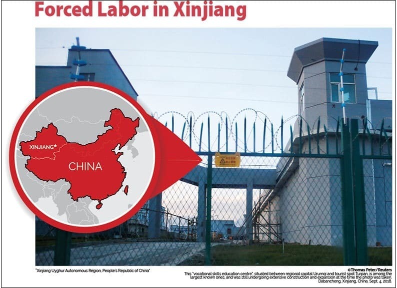 미, 중국 신장위구르산 제품 수입 전면 금지 VIDEO: New evidence of Uighur forced labour in China’s cotton industry