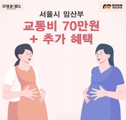 2024 서울시 임산부 교통비 지원 금액과 혜택