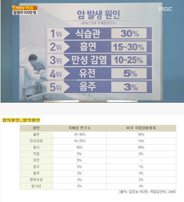 인간의 암 발생 원인