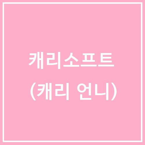 캐리소프트 호재 주가 전망 (317530)