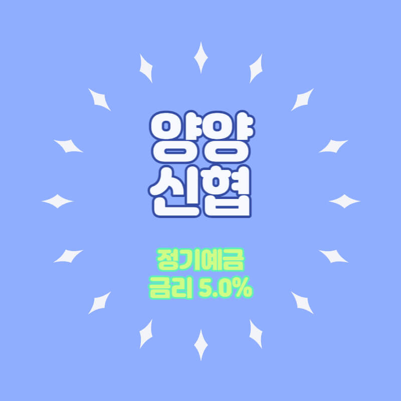 양양신협 특판 정기예금 금리 5.0% 비대면 가입방법