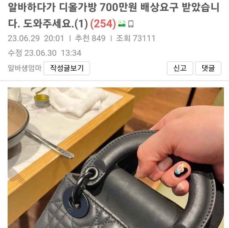 스무살 알바생 디올 700만원 명품백 닭갈비 식당 아르바이트생 “액체 튀었으니 전액 배상” 반전 결말 짝퉁? (+보배드림)