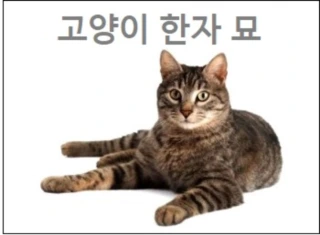 고양이 한자 묘