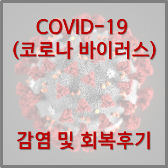 COVID-19 코로나 바이러스 감염 및 회복후기 - 코로나 감염 / 코로나 초기증상 / 코로나 증상 / 코로나 격리 / 코로나 회복 / 코로나 후기 / 건강 상태
