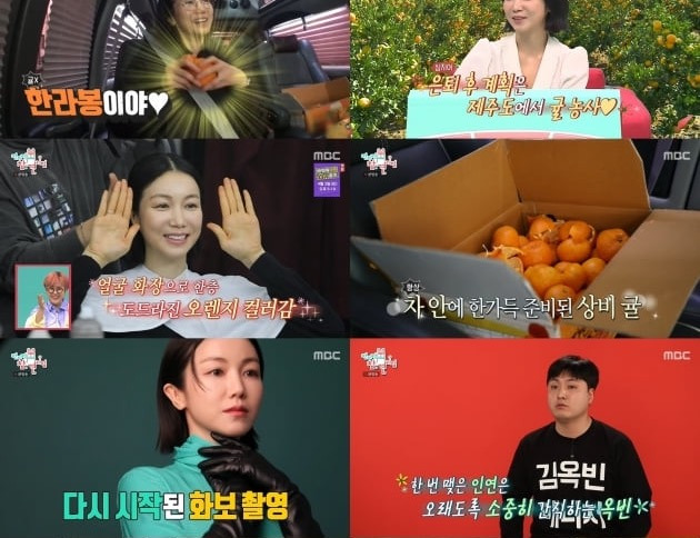 '전참시' 김옥빈, 못 말리는 귤 사랑