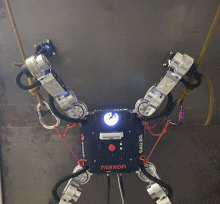 네 발 달린 벽 오르는 '마그네코 로봇' VIDEO: Wall-climbing Magnecko robot is like a cross between a gecko and a spider