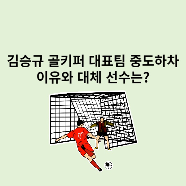 카타르 아시안컵 골키퍼 김승규 대표팀 중도하차 이유와 대체 선수는?