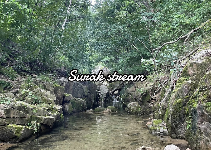 수락산 계곡 (Surak Stream)