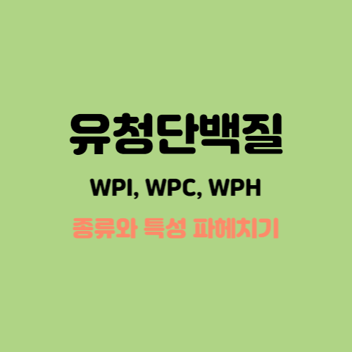 유청 단백질의 종류 (WPI, WPC, WPH)와 특징