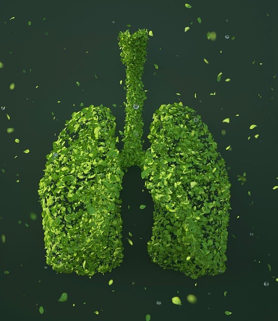 폐암 : 폐암 2기 증상, 숨 쉴 때 가슴 통증, 폐암 예방 방법과 위험 인자
