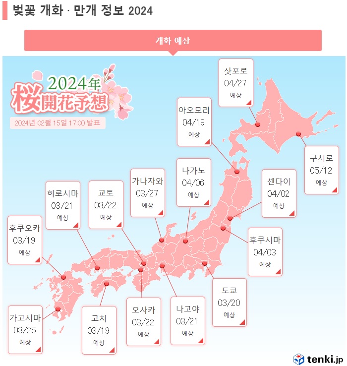 2024 일본 만개 벚꽃, 언제 갈까? & 날씨확인방법
