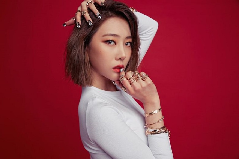 블랙스완 혜미, 사기 혐의로 피소