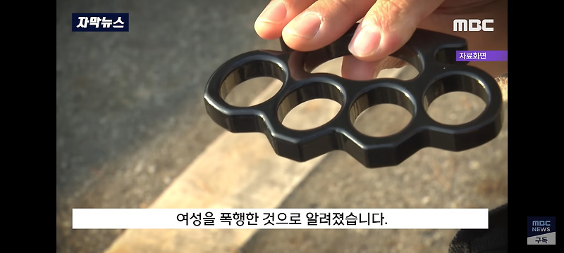 서울 도심 공원 30남성 너클로 여성 성폭행 사건