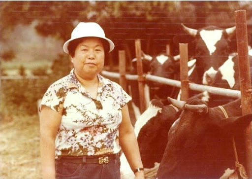 이수영 회장 남편 김창홍 변호사 과거 스토리 화제