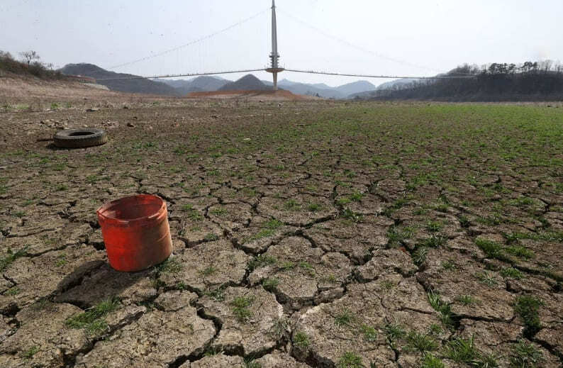 정치가 호남 가뭄 키웠다...文정부,  최악가뭄 예고에도 보 열어