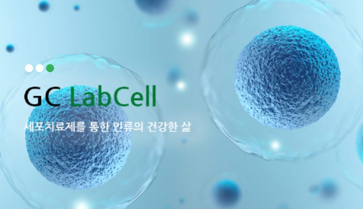 녹십자랩셀 전망, 2조원 수출 했지만 우려되는 부분은?(기업 가치 분석)