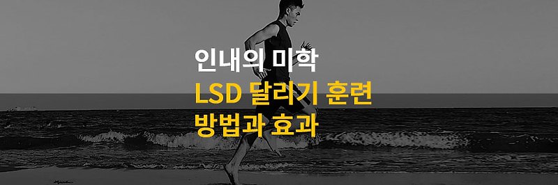 LSD 달리기 훈련 방법과 효과: 지구력과 잠재력, 인내의 미학!