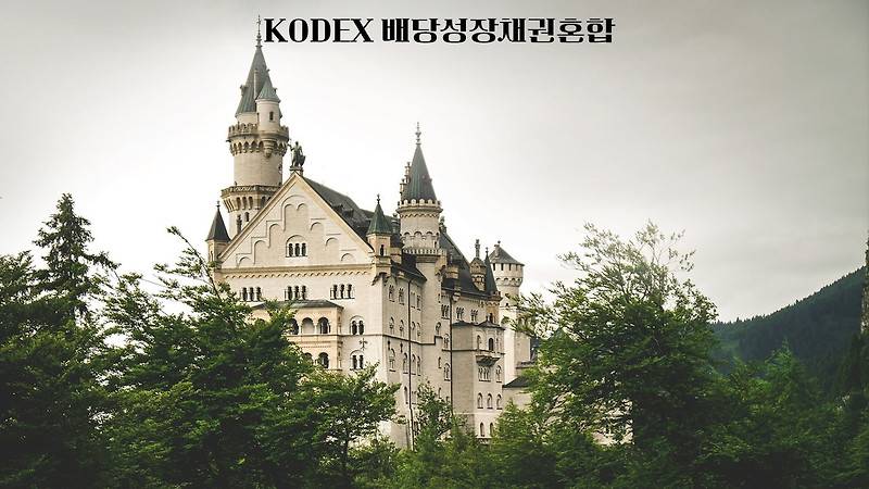 KODEX 배당성장채권혼합/237370