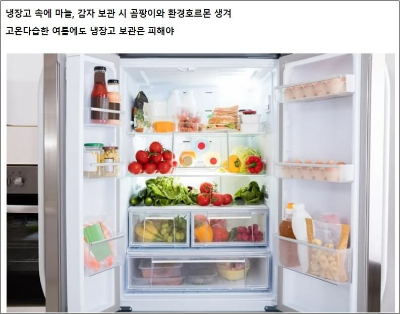 냉장고 있던 마늘 감자 절대 먹으면 안돼요! ㅣ 남은 채소 제대로 보관하기