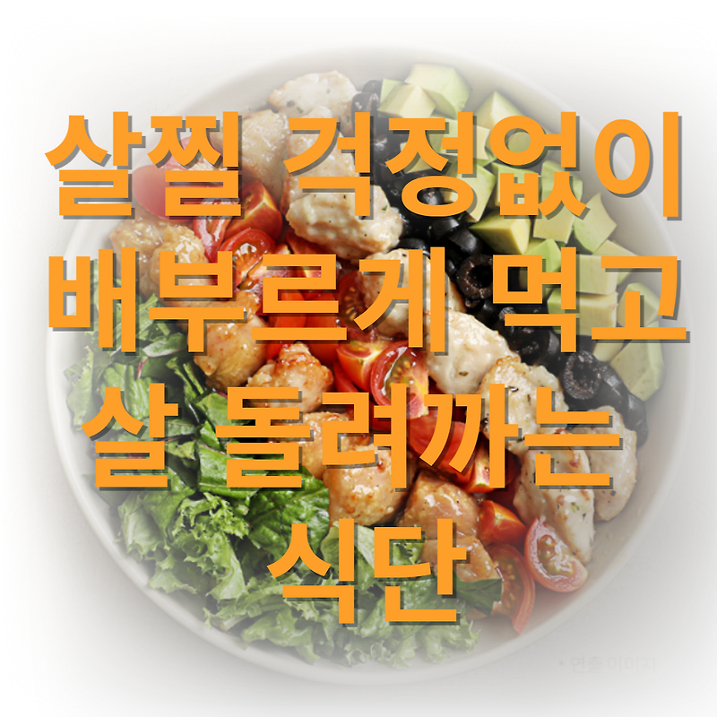 다이어트 식단 도시락 김밥 40대도 50대도 배부르게 먹고 빼자