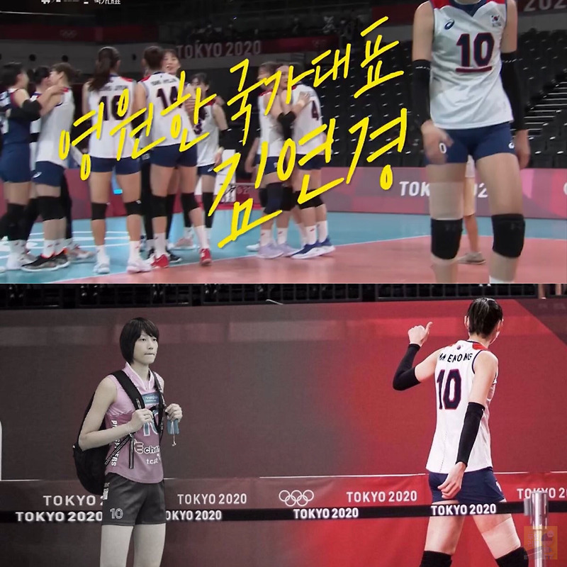 김연경 국가대표 은퇴 공식 발표 연봉 랭킹 프로필 정보 다큐 인사이트 방송분