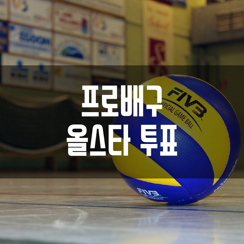 프로배구 V리그 올스타 투표 방법