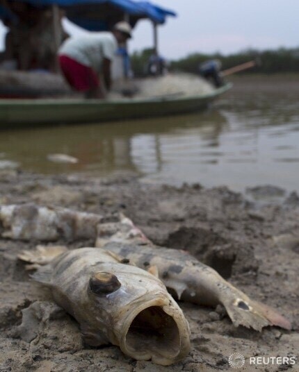 아마존 강 121년 만에 최저 수위