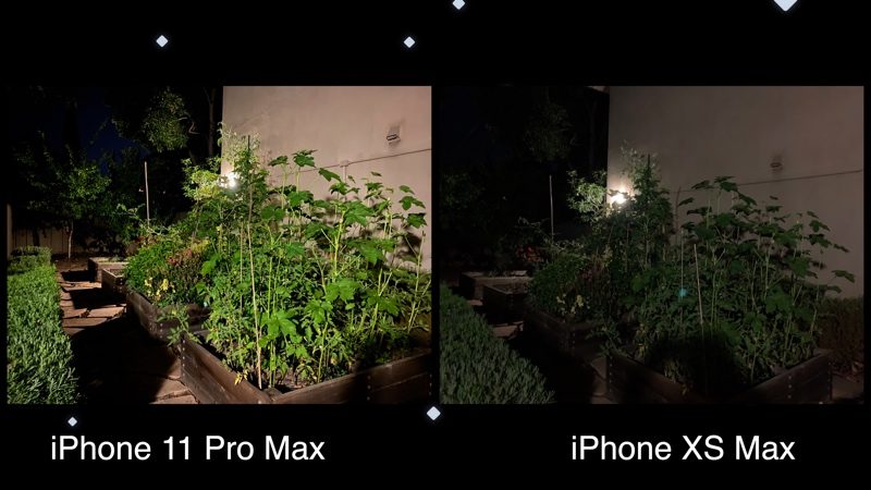 [iPhone] 카메라 비교(iPhone 11 Pro Max VS iPhone XS Max)