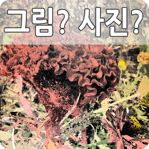 안산 김홍도 미술관에서 열리는 나광호 개인전(생활도감)