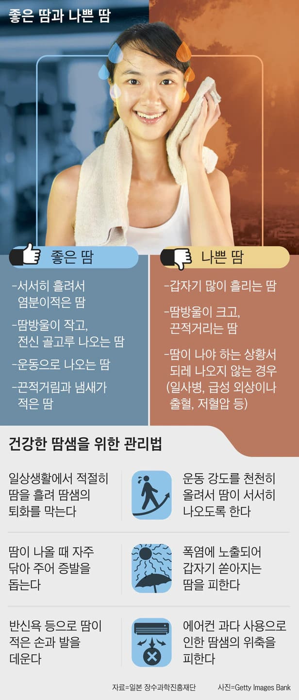 몸에서 생겨나는 좋은 땀과 나쁜 땀 ㅣ 땀. 우리 몸에 미치는 영향과 건강하게 흘리는 법