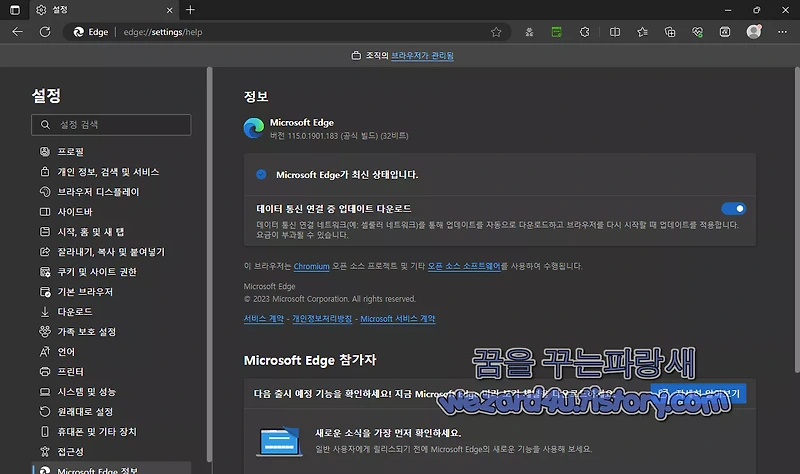 Microsoft Edge 115(마이크로소프트 엣지 115) 14개 보안 취약점 수정