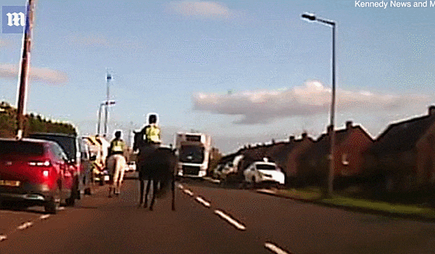 심장 멎는 아슬아슬한 순간  VIDEO:Teen horse rider has near miss after hitting side of a lorry