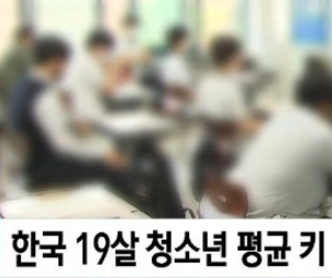 한국 19살 청소년 평균키