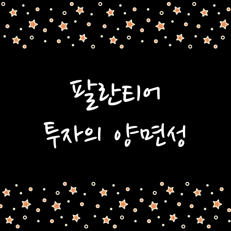 팔란티어 (PLTR) 투자의 양면성 2/2
