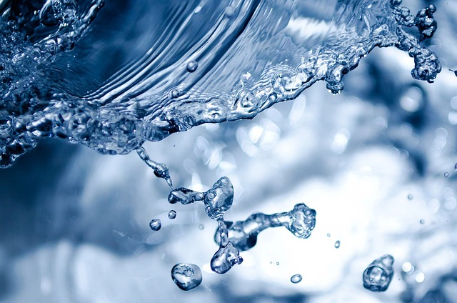 물과 다이어트: 물을 마시는 것이 체중 감량에 도움이 될까? 물 식욕 감소, 물 체중 감량